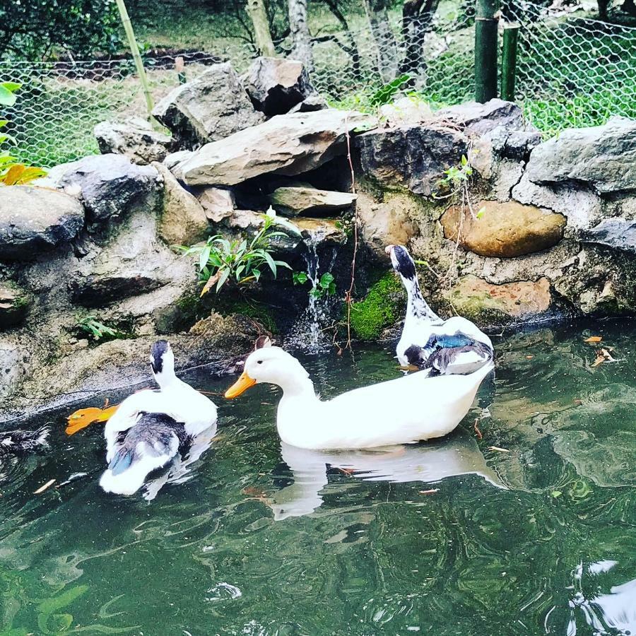Duck House Hotel Ла Вега Екстериор снимка